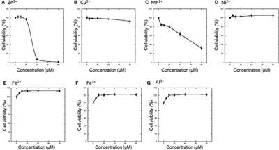 Copper Enhances Zinc-Induced Neurotoxicity and the Endoplasmic Reticulum Stress Response in a Neuronal Model of Vascular Dementia